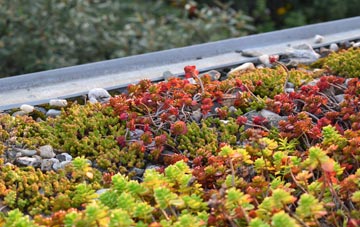 the cost of Sherberton green roof installation