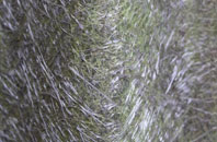 Sherberton fibreglass roof work